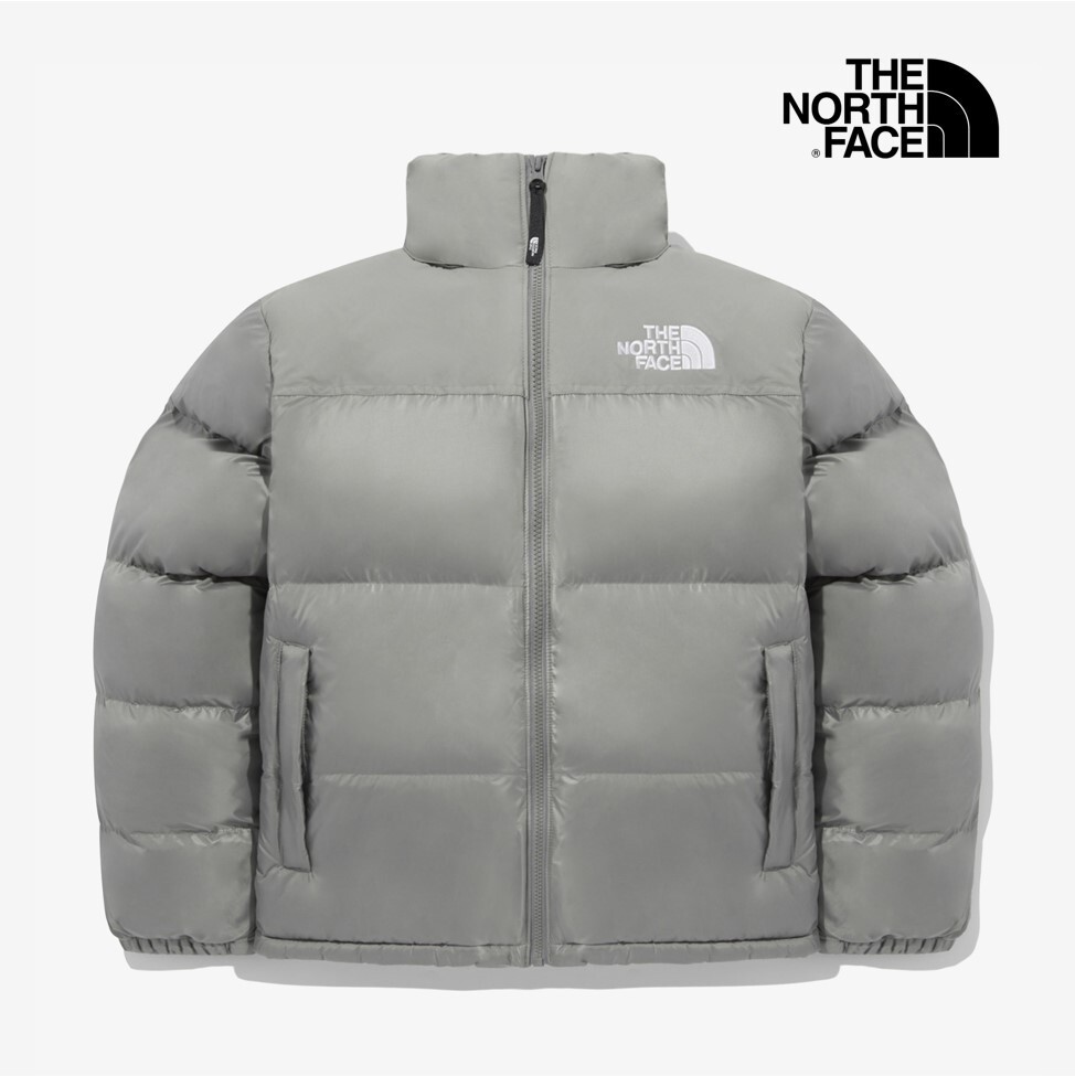 The North Face Korea M'S NUPTSE ON BALL JACKET NJ3NQ53B GRAY ASIAN