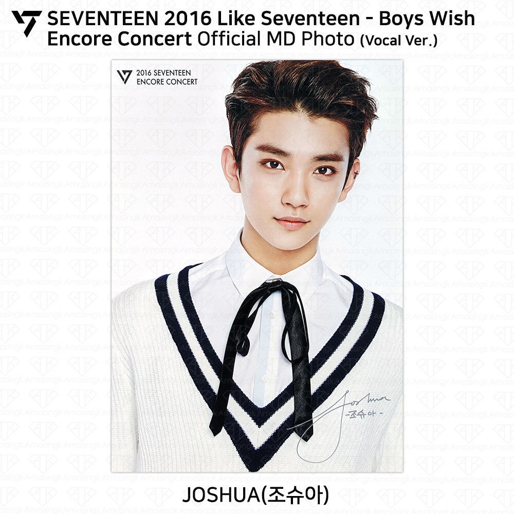 SEVENTEEN 2016 Like Seventeen Boys Wish Encore Concert Official MD