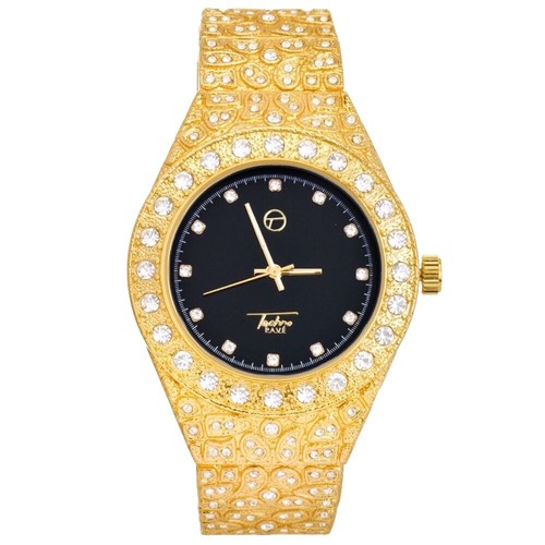 STAR JEWELRY Earth Watch Limited Edition Rare Used From Japan