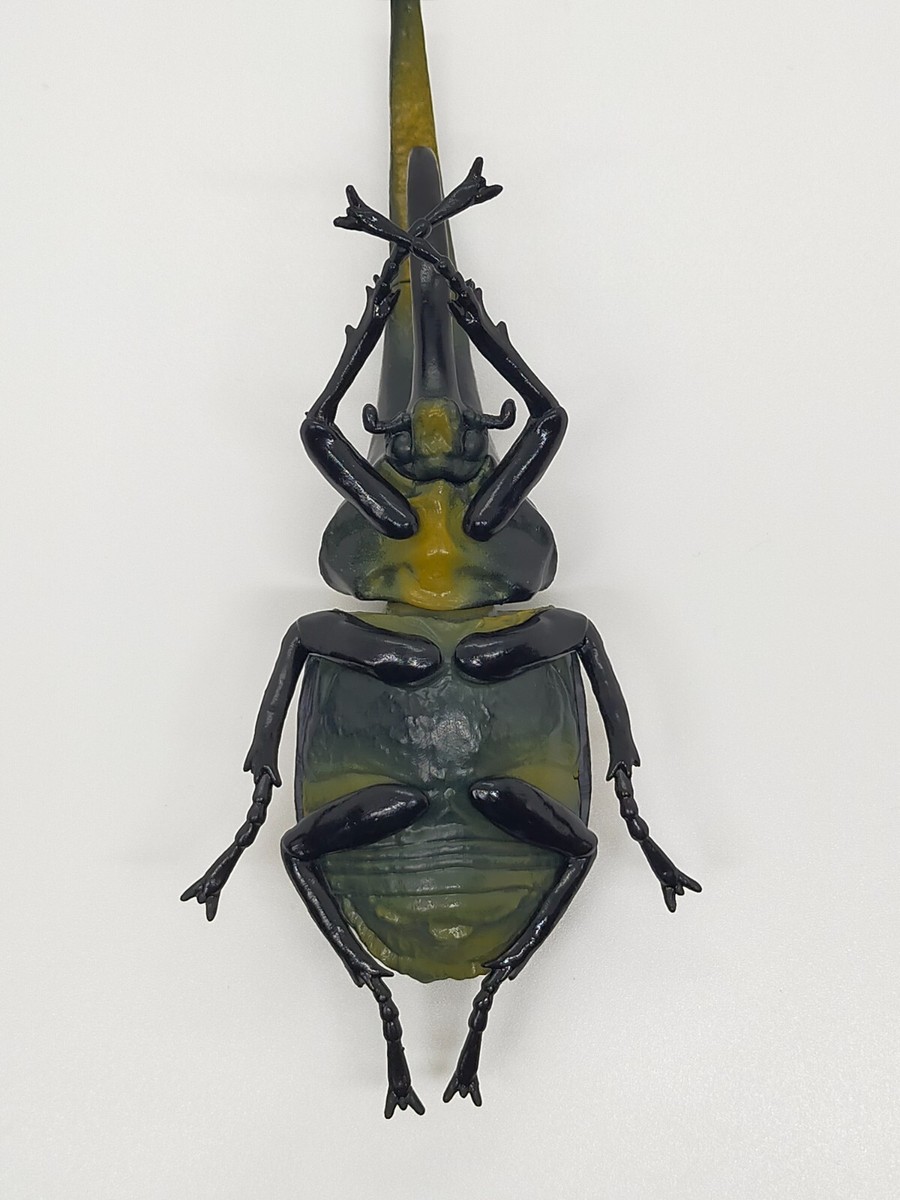 SO-TA Gashapon Dynastes Hercules Beetle 6.8in Realistic Insect