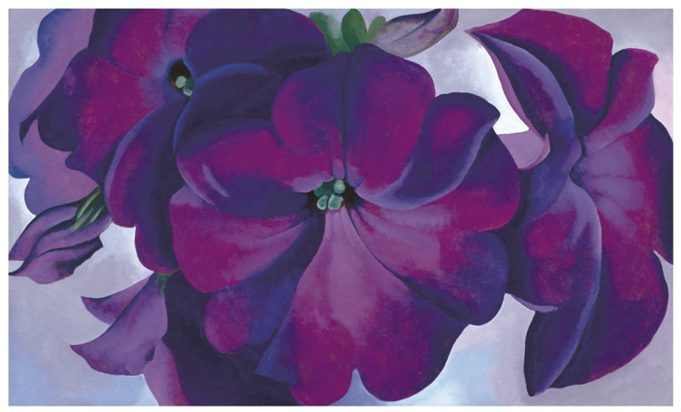 Petunias, 1925 by Georgia O'Keeffe Art Print Purple Flower Floral