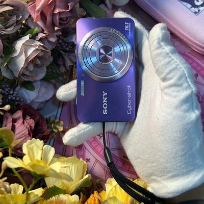 SONY Cyber-shot DSC-W570 Digital Camera 16.1 MP 5x Optical Zoom