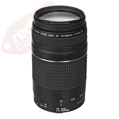 Canon EF 75-300mm f/4-5.6 III Telephoto Zoom Lens for Canon