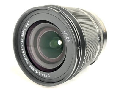 Panasonic Leica D VARIO-ELMAR 14-50mm F3.8-5.6 ASPH. MEGA O.I.S. L