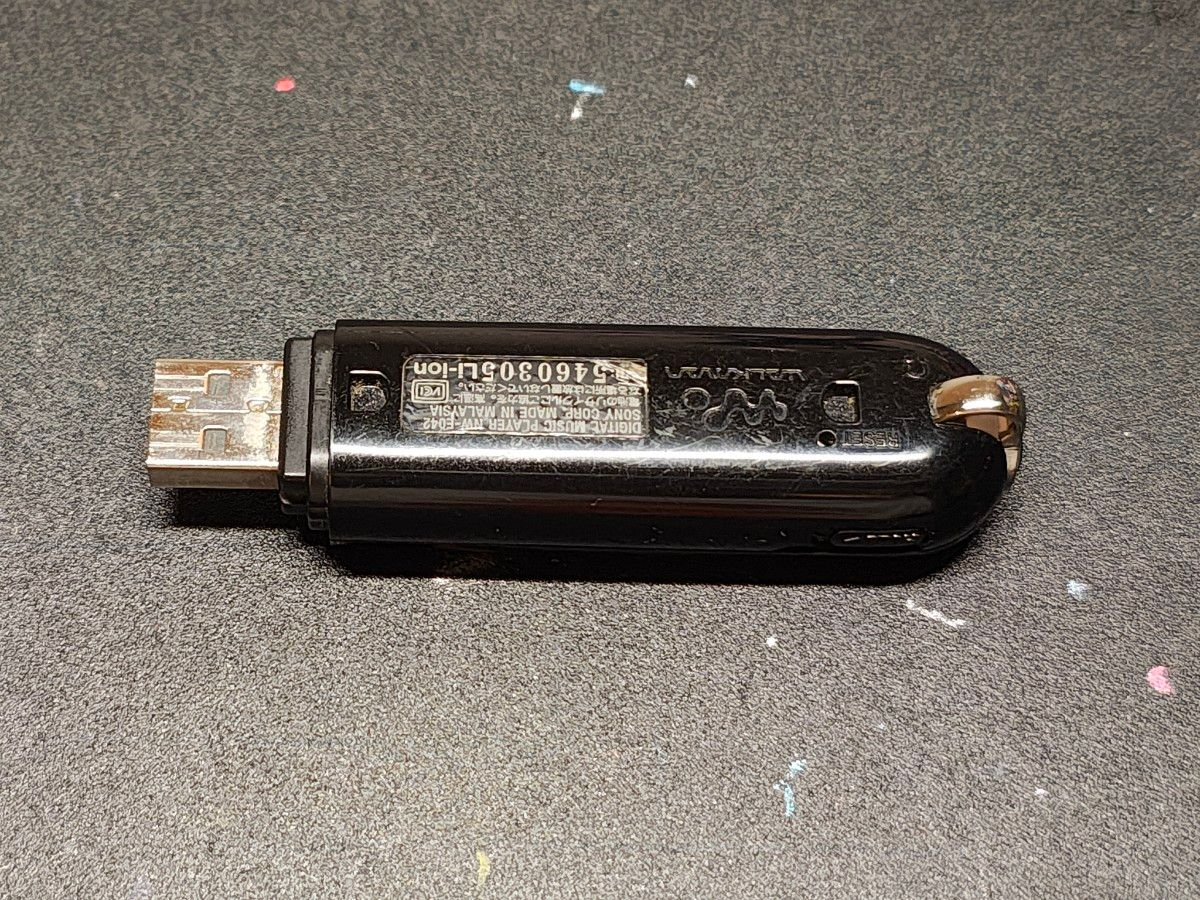 Sony NW-E042 Walkman Portable Music Player MP3 Player Gold Japan