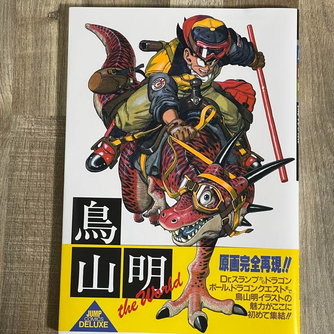 Akira Toriyama the World Dragon Ball Special Illustrations Art