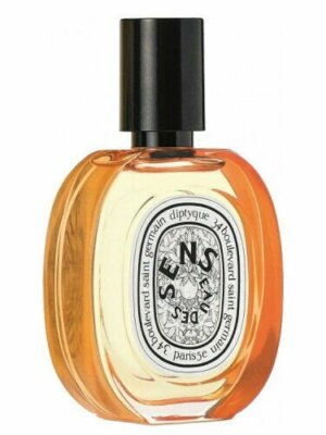 Diptyque Eau des Sens LIMITED EDITION 30ml Sealed, Authentic