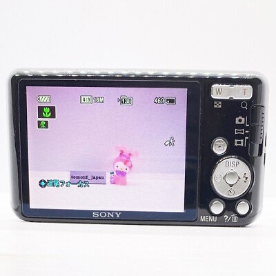 Sony Cyber-Shot DSC-W630 Black 16.1MP 5x zoom Compact Digital