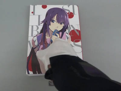 Bakemonogatari Animation 10th Anniversary Illustration Works Art