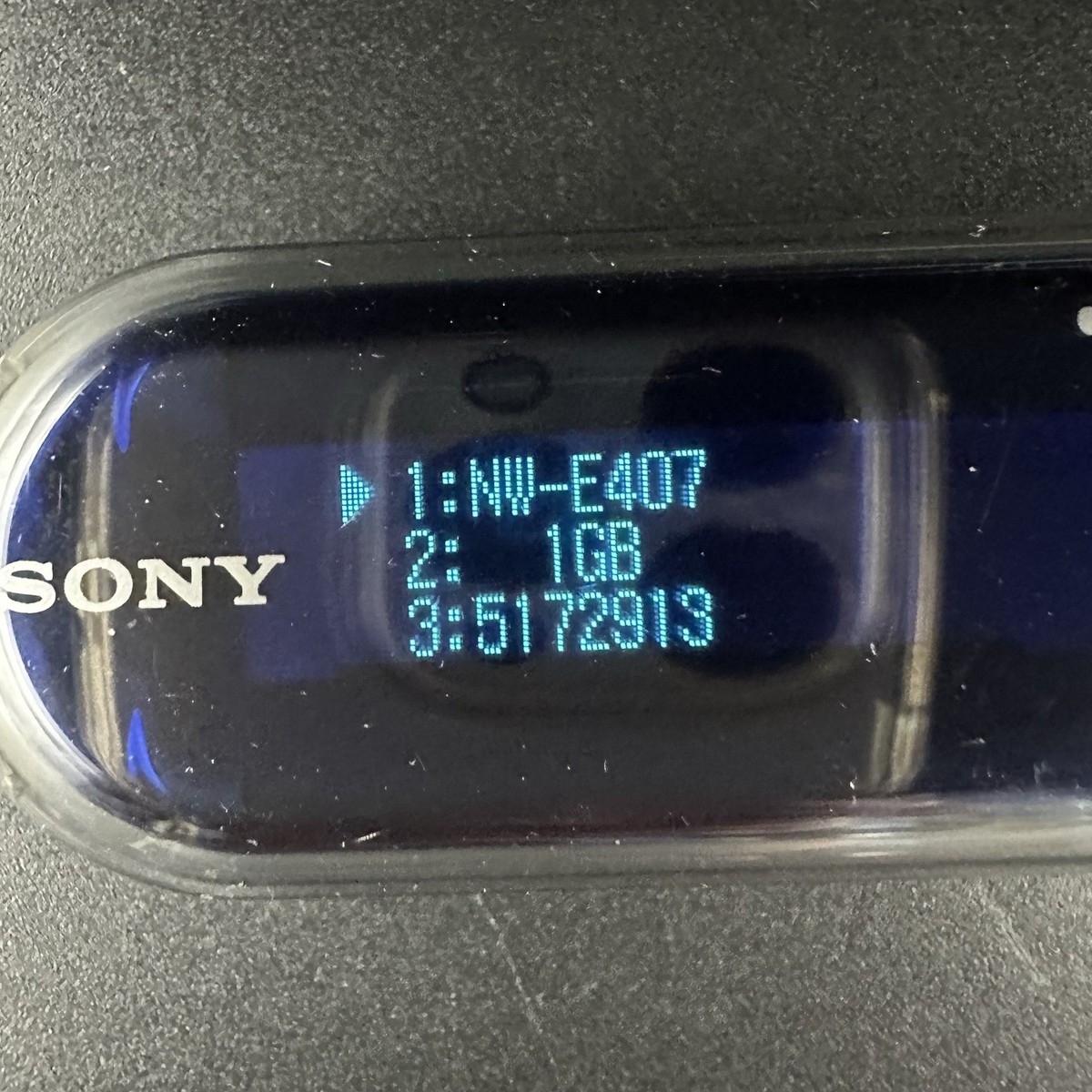 NW-E407 SONY Net Work Walkman MP3 Player 1GB Blue Fully Working | eBay