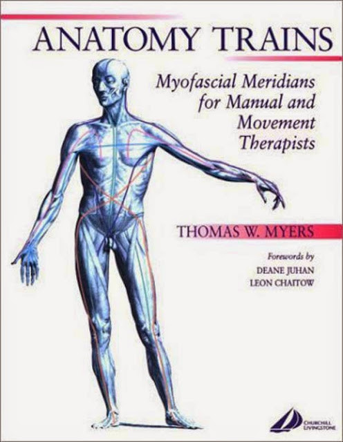 Anatomy Trains - Thomas W Myers | eBay