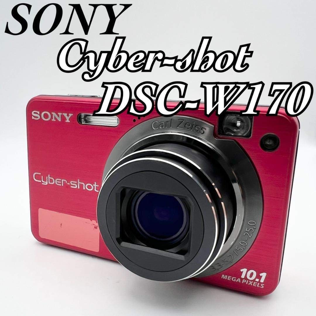 Fully working] SONY Cyber-shot DSC-W170 Compact Digital Camera