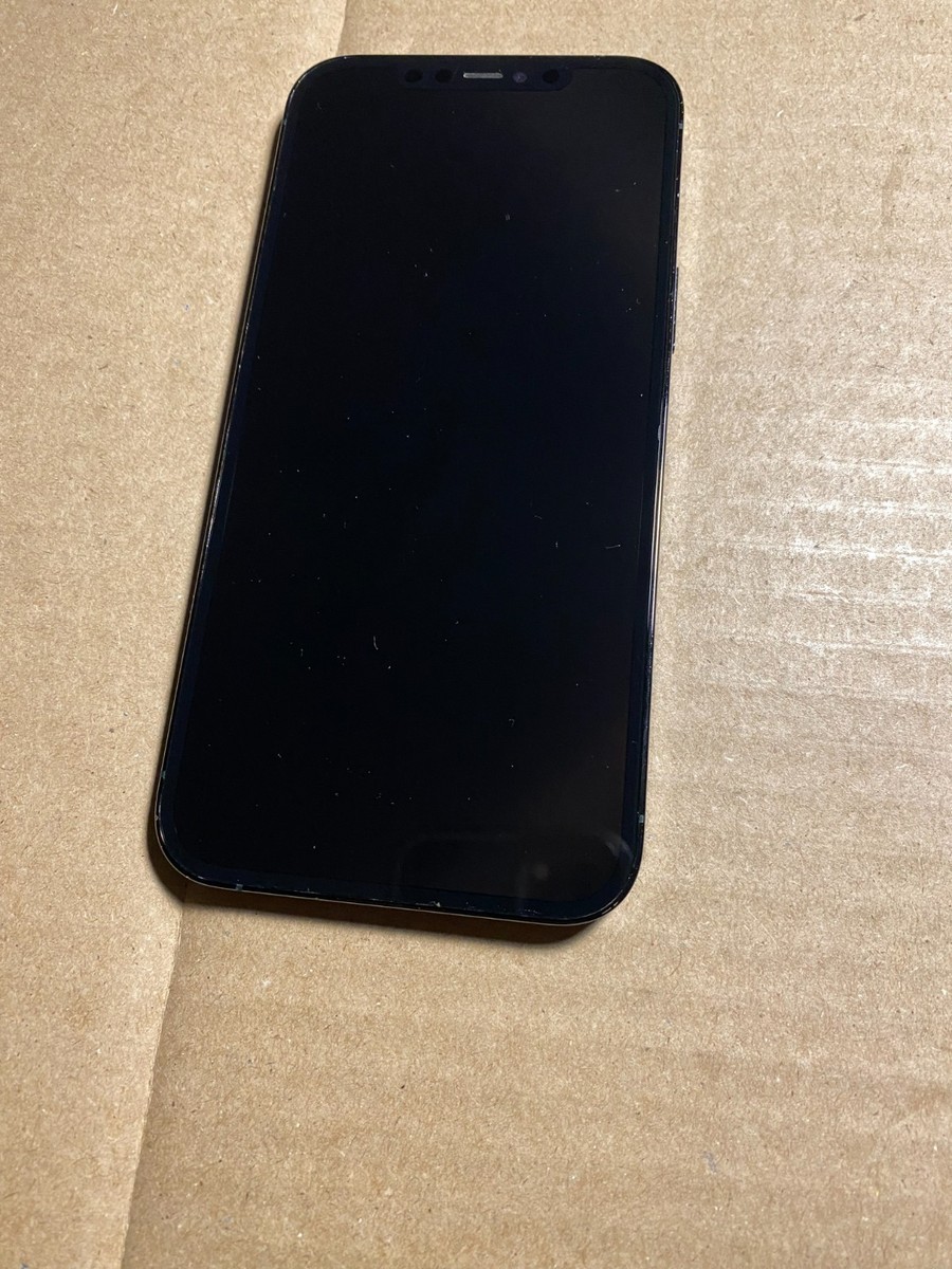 Apple iPhone 12 Pro Max 256GB Pacific Blue Unlocked (A2342) | eBay