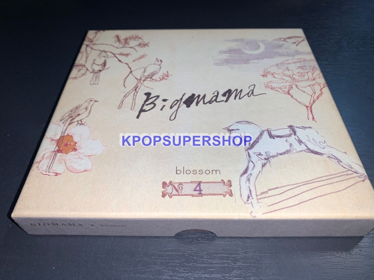Big Mama 4th Album Blossom CD Photobook Great OOP Rare Box Fourth
