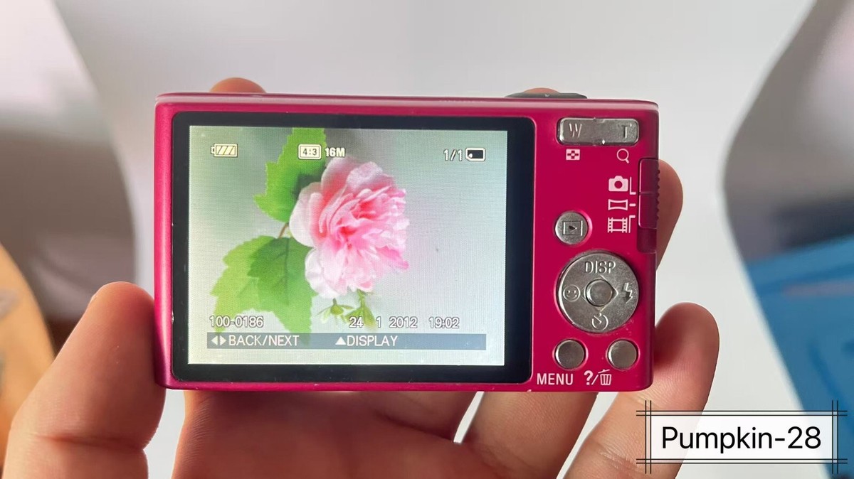 Sony Cyber-shot DSC-W730 16.1MP Digital Camera - Blue for sale