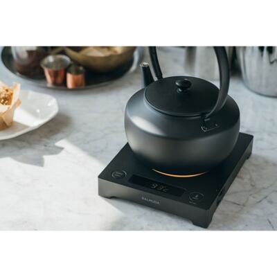 BALMUDA Electric kettle MoonKettle 0.9L Black KPT02JP-BK | eBay