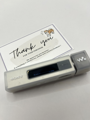 SONY NW-M505 V Walkman 16GB Silver - High-Quality MP3 Digital