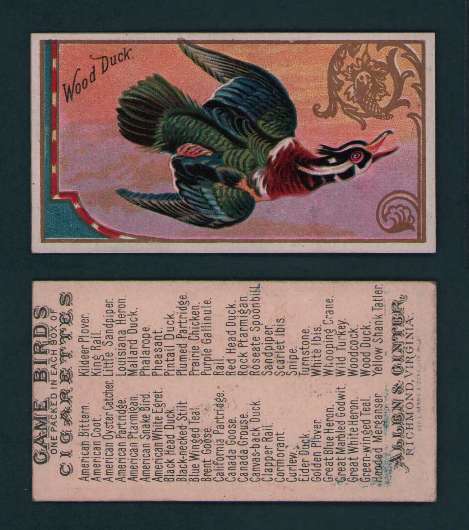 1889 Allen & Ginter - N13 Game Birds Tobacco Cards - U Pick | eBay