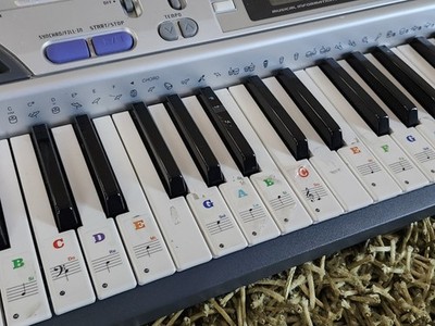 Casio CTK-496 Electronic Keyboard with 61 Full-Size Keys