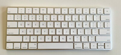 Apple Model A1644 Magic Keyboard - Broken Space Bar | eBay