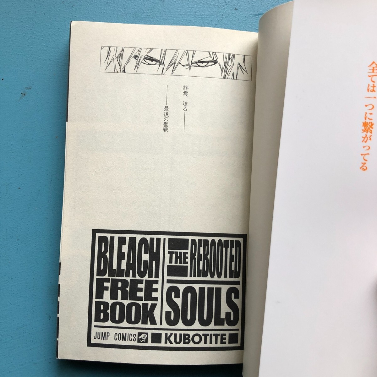 The Rebooted Souls BLEACH Kubotite Fan Guide Book Japanese book | eBay