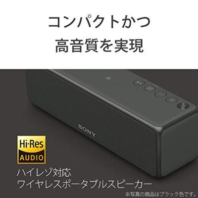 Sony Wireless Portable Speaker SRS-HG10 B (Grayish Black)【Japan