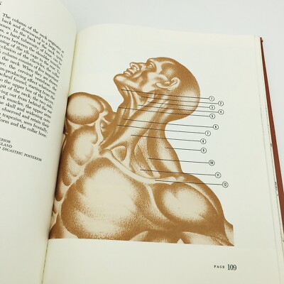 Dynamic Anatomy, Burne Hogarth, Hardcover 1958 1st Printing Art