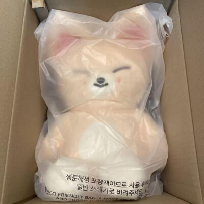 Stray Kids SKZ 5 O'Clock Aien Fox I.Ny Plush Doll SKZOO Teddy Bear