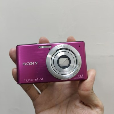 Sony Cyber-shot DSC-W530 14.1MP Digital Camera 4x Optical Zoom