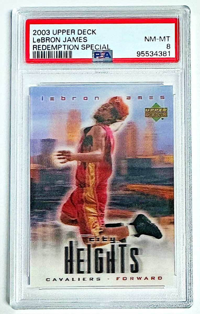 LEBRON JAMES 2003 city HEIGHTS 3D レブロン