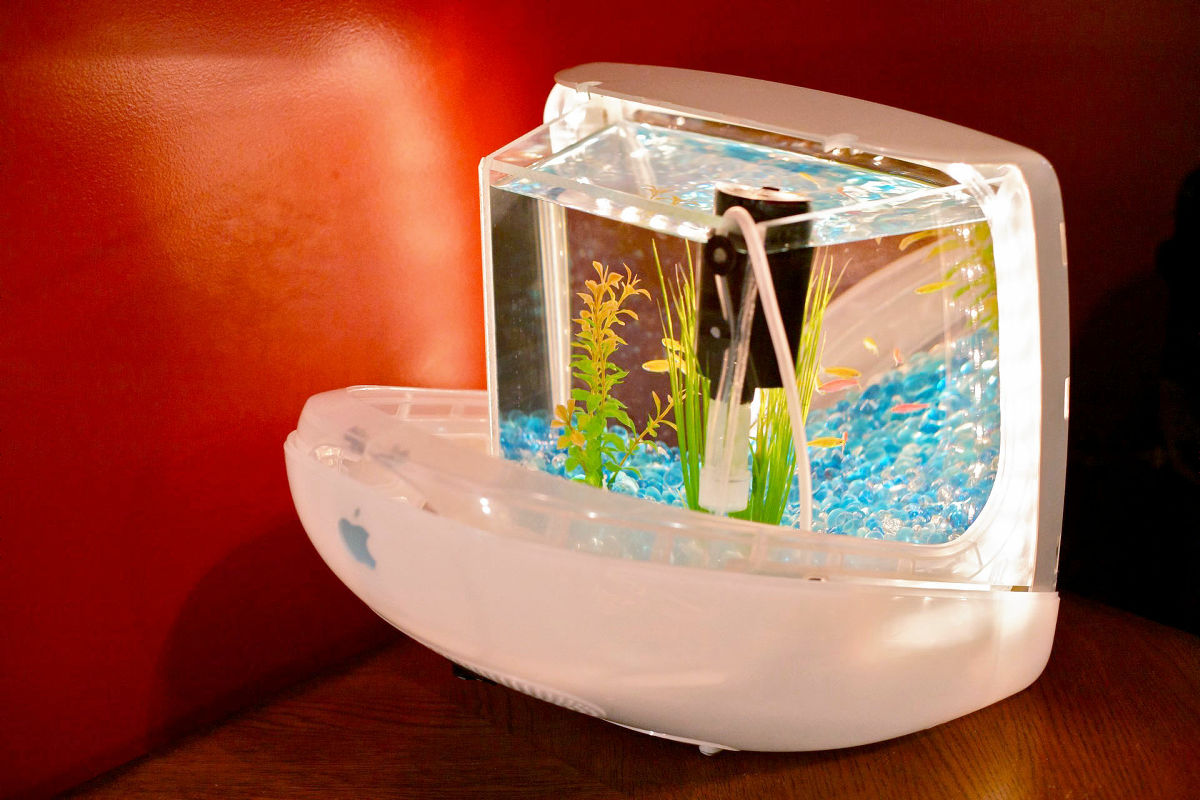 カラフルなiMacをそのまま水槽にした「Macquarium」 - GIGAZINE