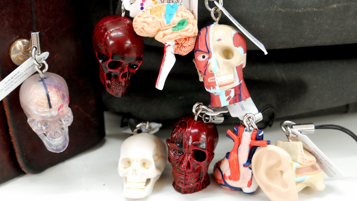 理科室にあるような人体模型の各パーツをストラップとして愛でられる