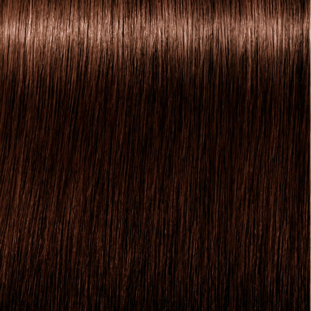 IGORA ROYAL ABSOLUTES 6-60 Schwarzkopf、染毛剤-Perfumes Club