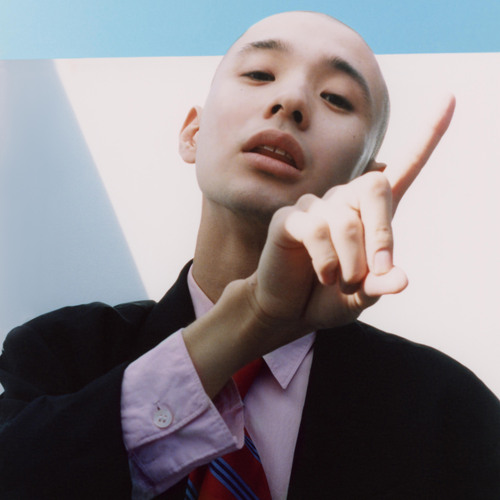 KID FRESINO カネコアヤノ Cats & Dogs 10インチレコード Cats & Dogs