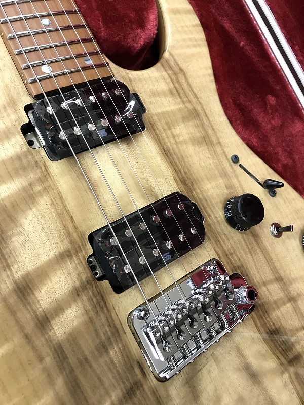 NAMM2019】IbanezとVemuramのコラボモデル｢TSV808｣予約受付開始