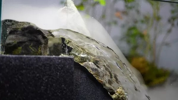 意外と難しい】ミストメーカーを使ってアクアテラリウム水槽に霧の滝を