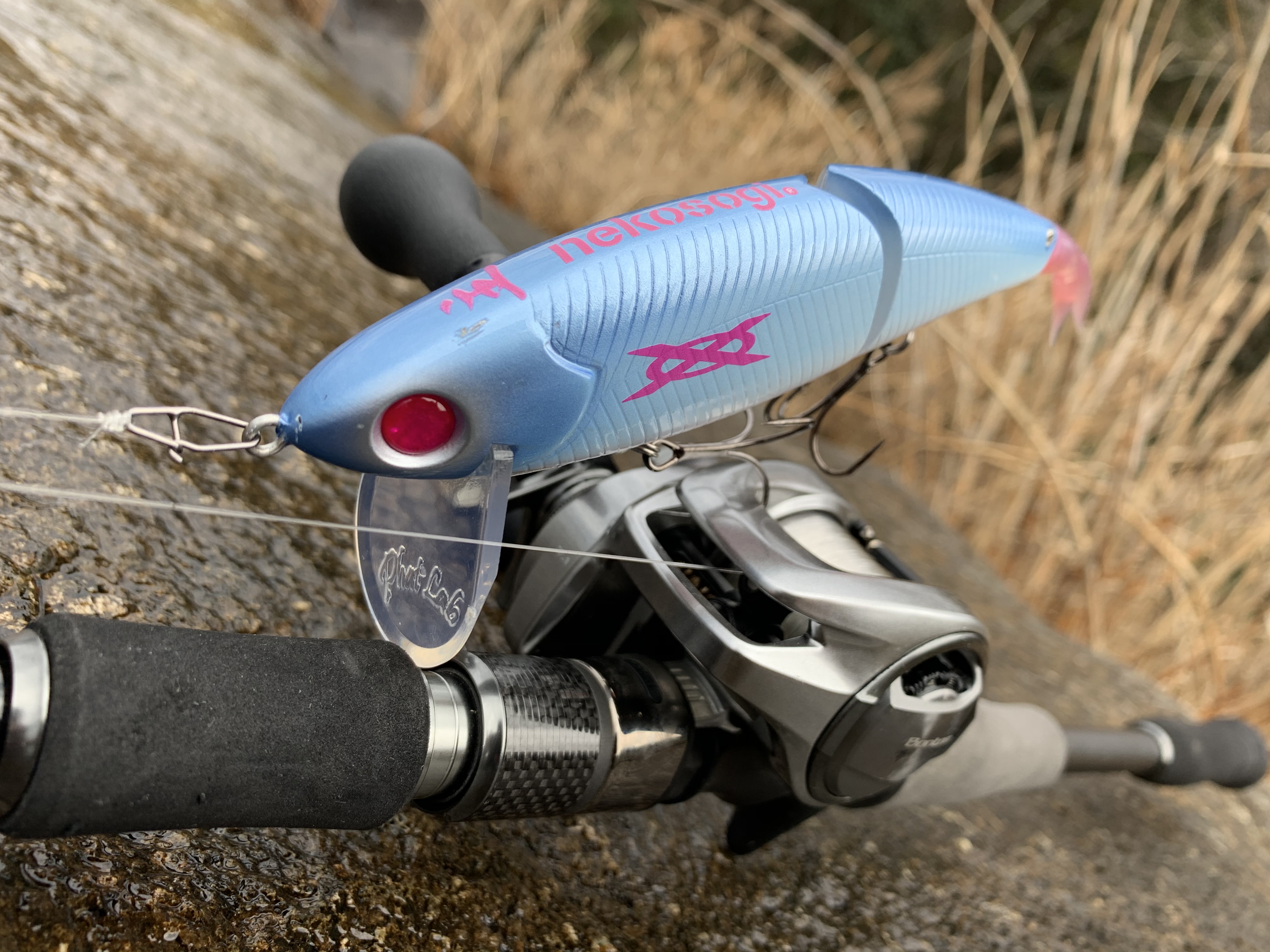 ネコソギDSR オリカラまとめ - BOTTOM CONTACT