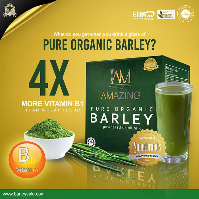 Original Barley 3 BOXES - BARLEY SALE