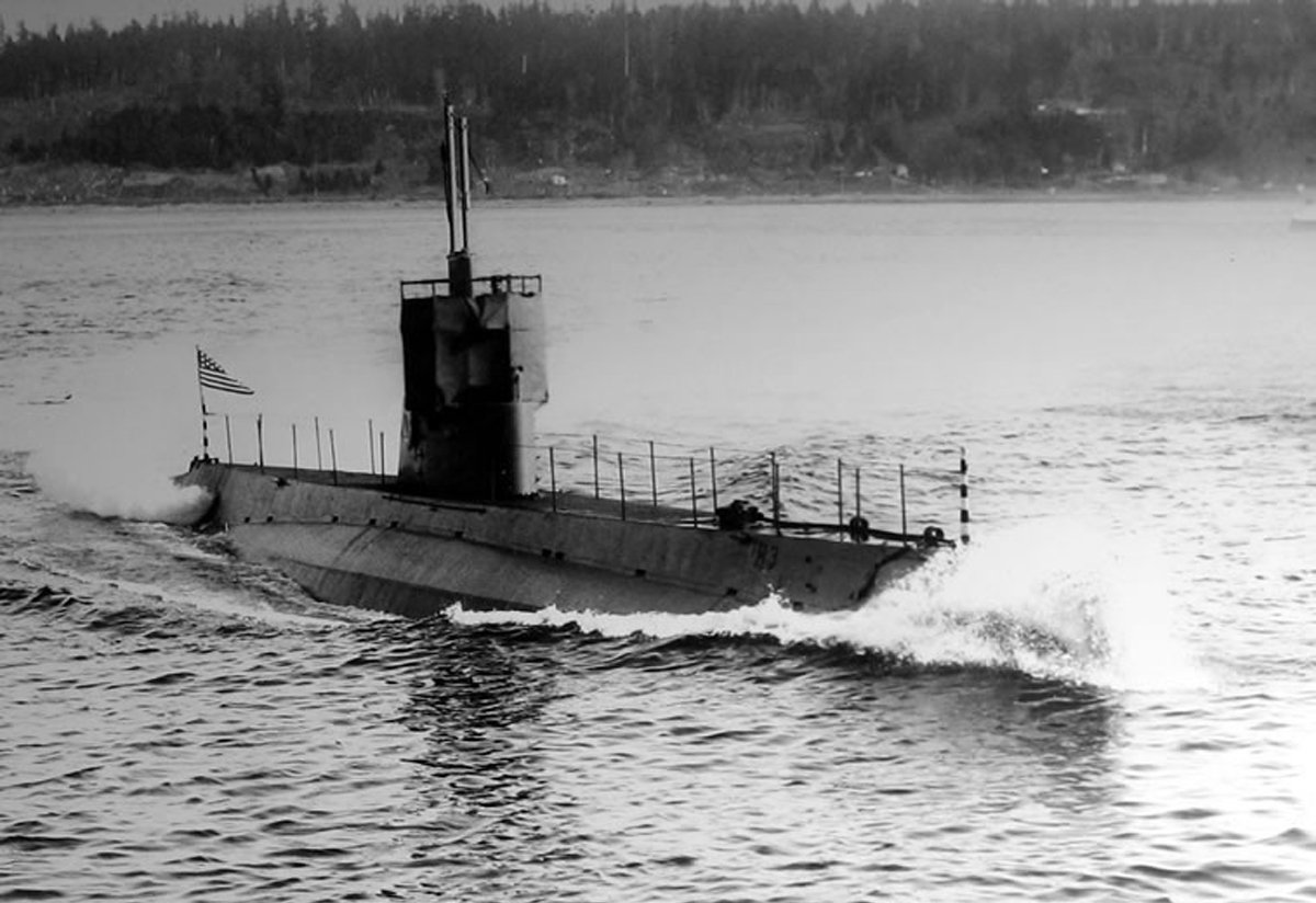 The Sub Commander and the Cactus Myth, Debunked - Goleta History