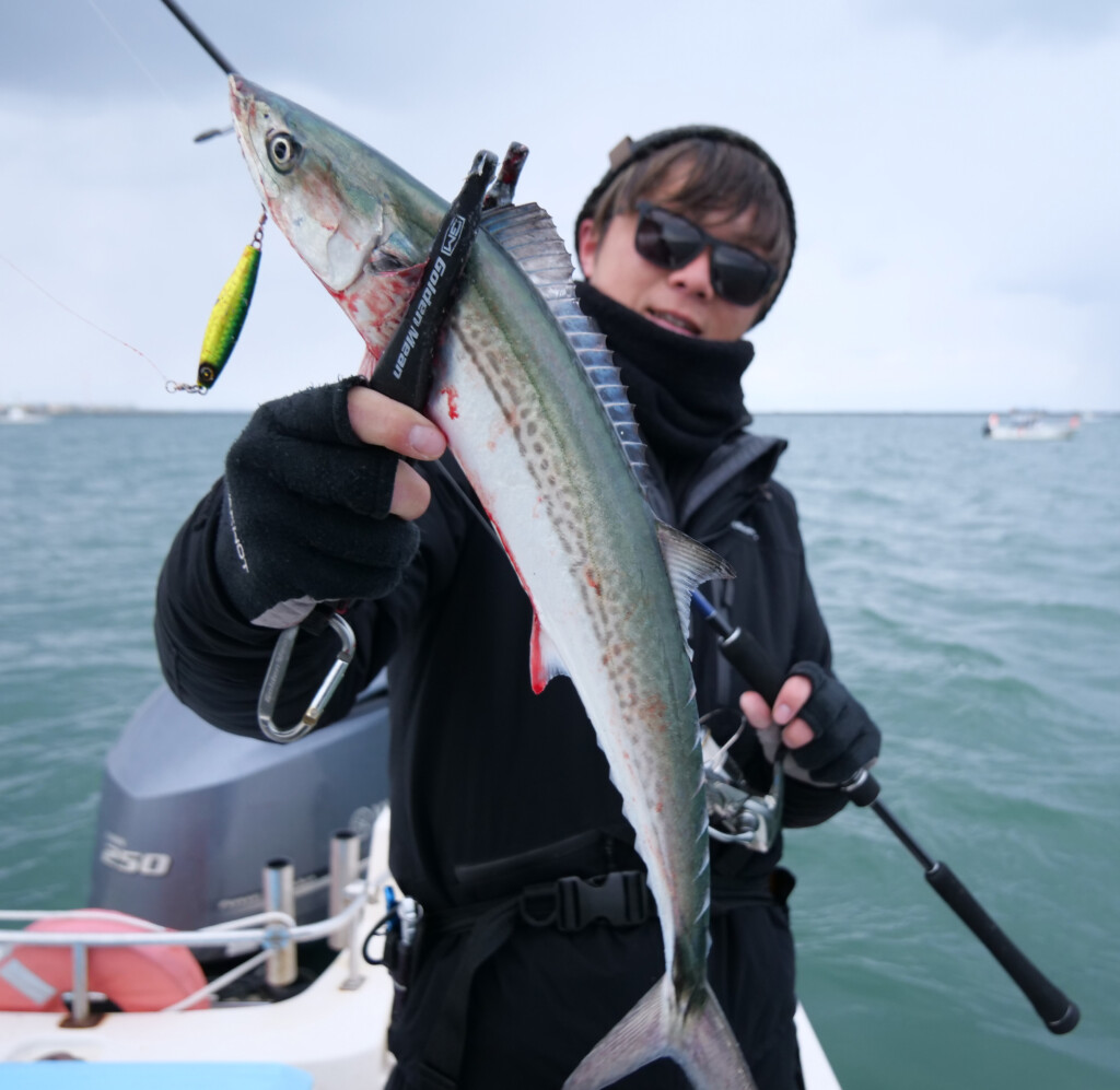 ジャックアイ】新潟東港・サワラスピンでサゴシ祭！ ジャーキングで