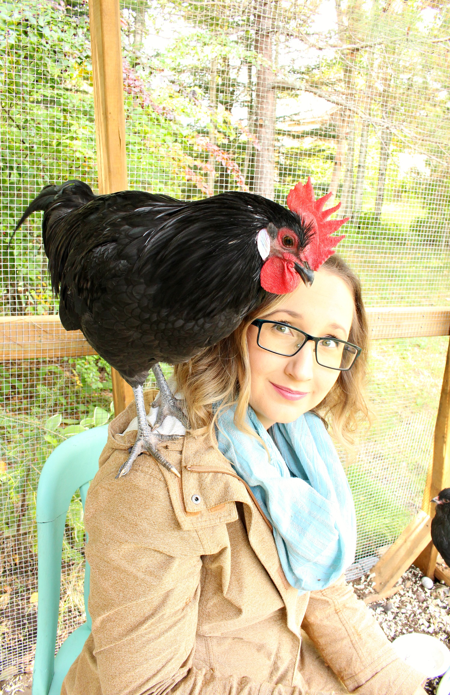 roosters_pewter-on-my-shoulder