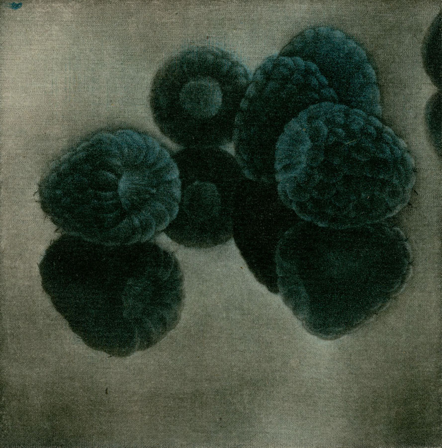 The place where Life exists – KAORI SUZUKI ARTWORK FILE