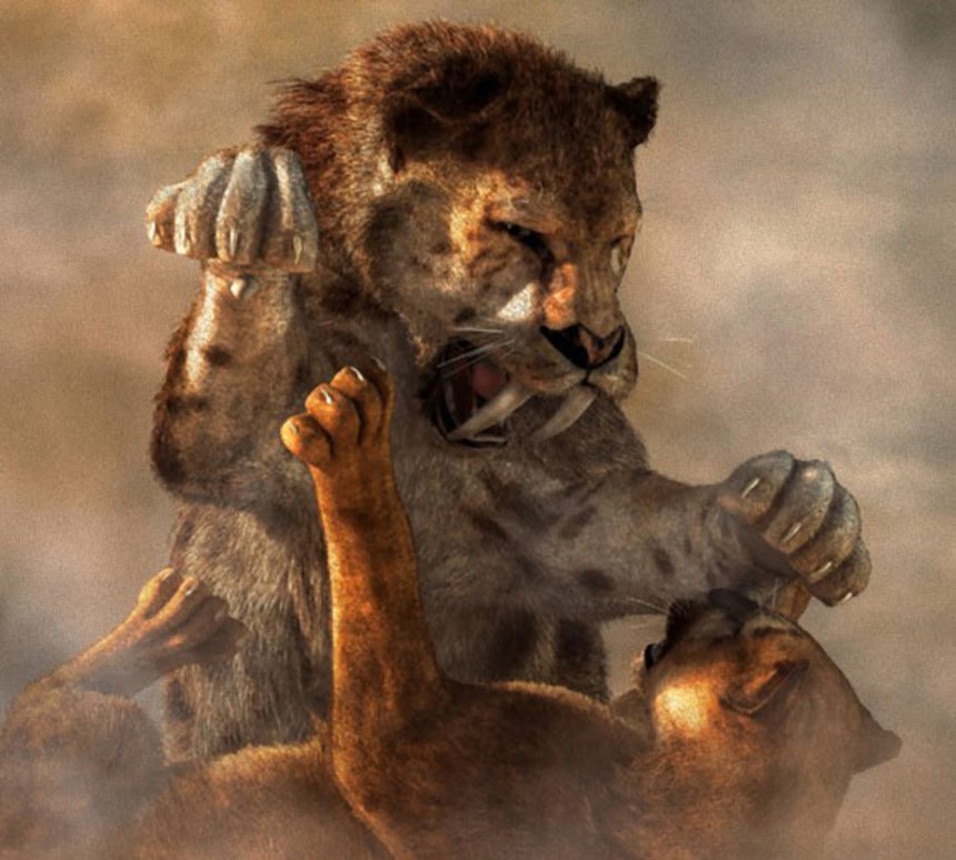 考えられている以上に巨大だった。新生代時代のサーベルタイガー、新た