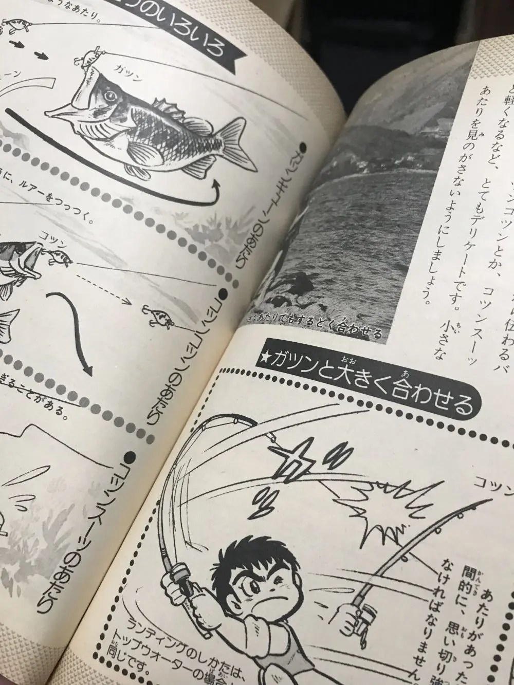 小学館入門百科シリーズ 110 ルアーづり入門 | Kiryu City Life 群馬県