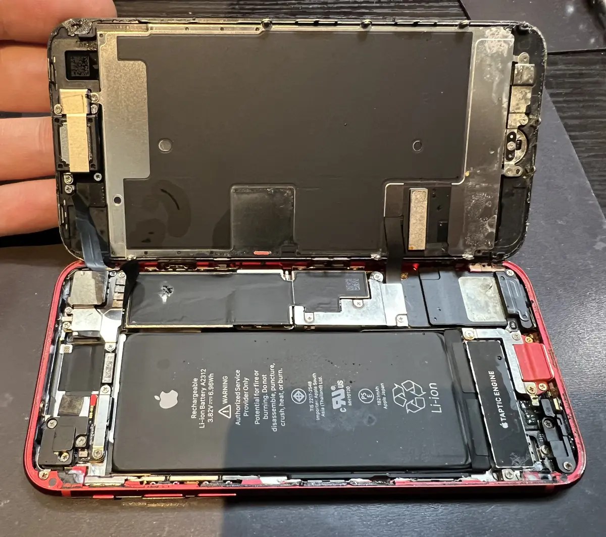 iPhone SE2】フリマサイトで買ったジャンク品のiPhoneを直したい