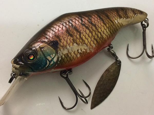 デカビーツァMG5の使用法（インプレ）セミフラットサイドボディと