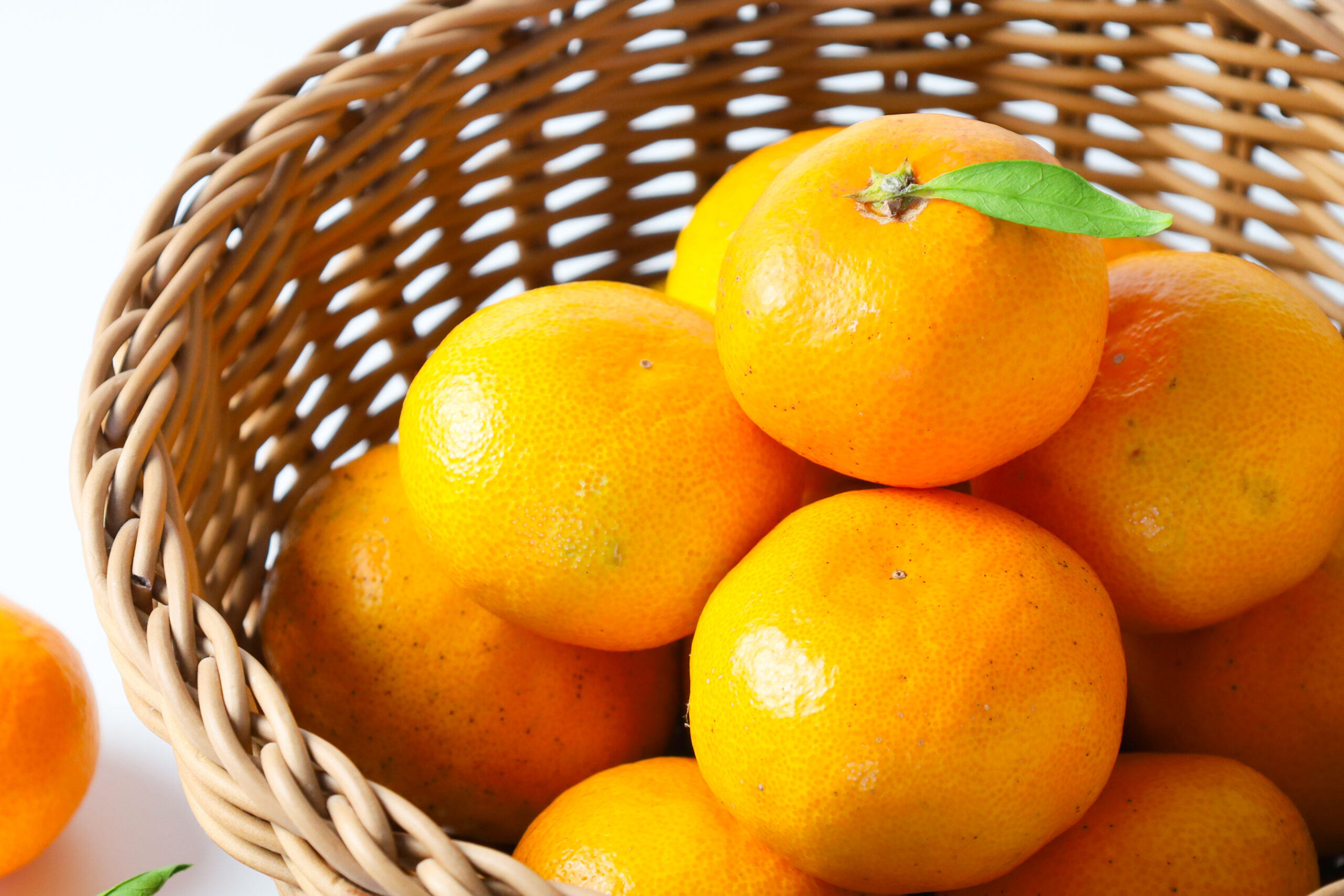 みかん(2S〜2L) 約10kg×3回定期便 計約30kg【熊本県産】高糖度 蜜柑