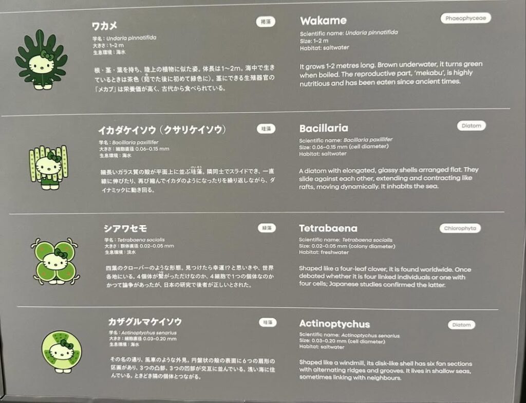 大阪・関西万博】日本館「藻類×ハローキティ図鑑」完全ガイド│32種類
