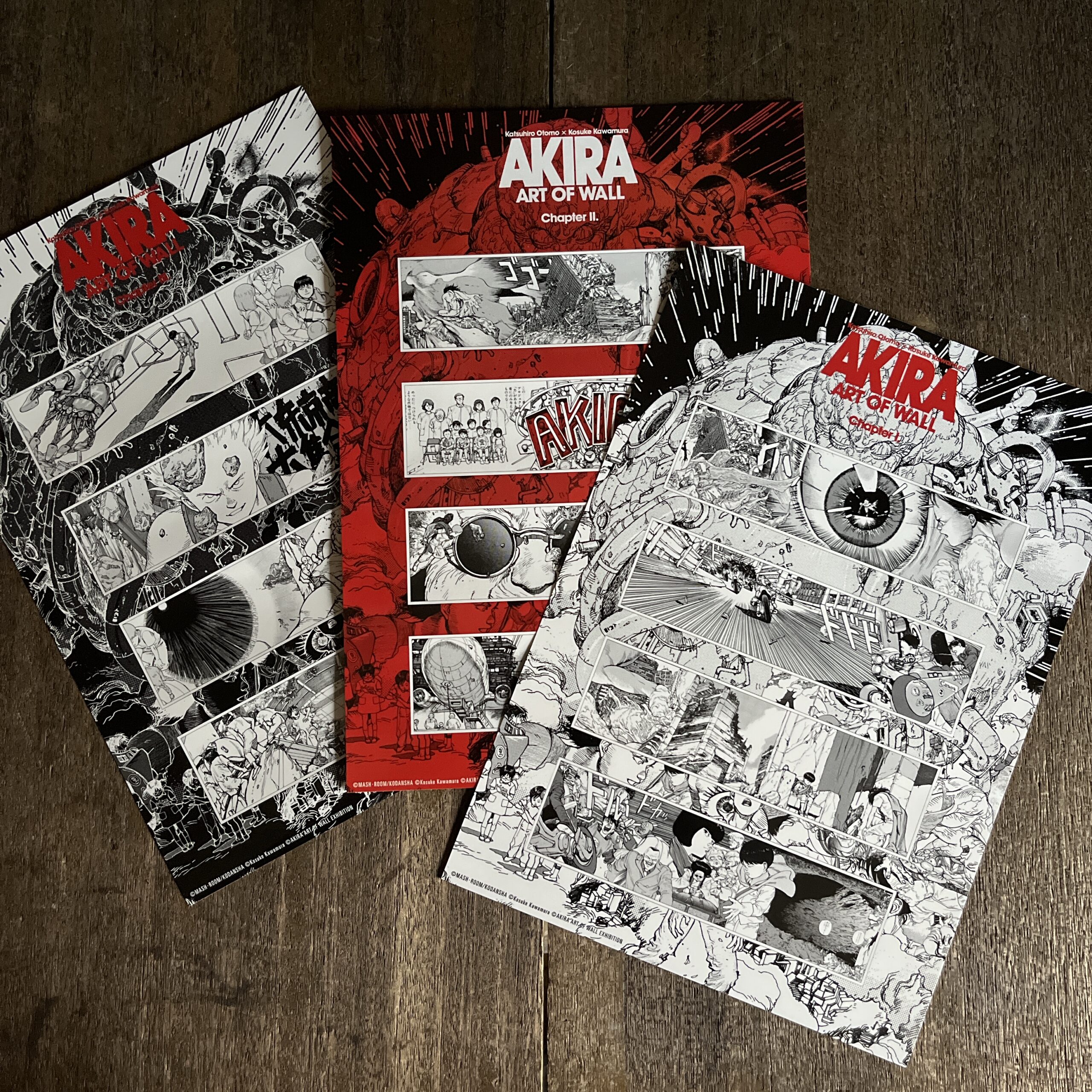 デッドストック AKIRA アキラ ART OF WALL展 A4ステッカー3枚セット