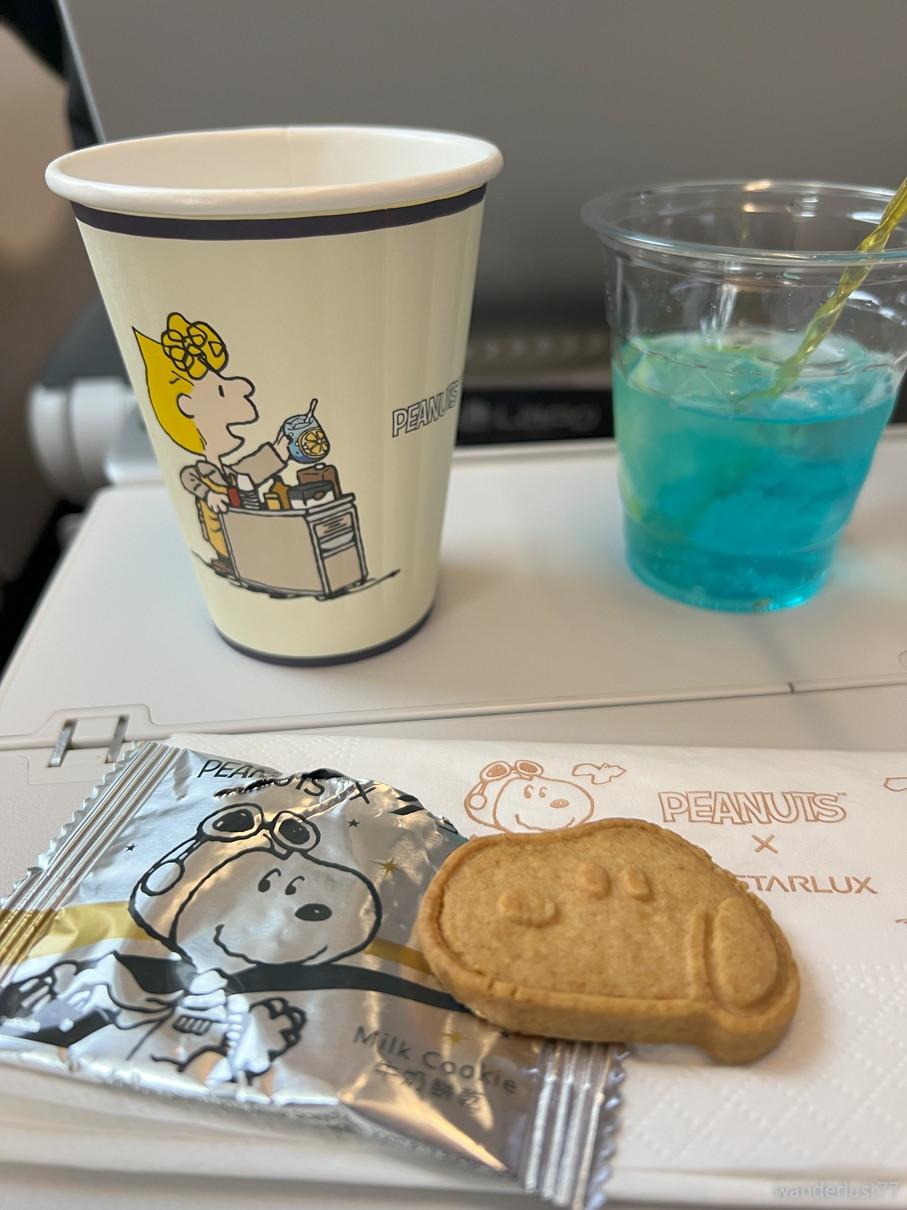 台北旅.7（終）】スヌーピーコラボのスターラックス航空で帰国
